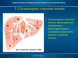Северо-Западный Государственный Университет им. И.И. Мечникова.



   5. Сегментарное строение печени


                                            Сегментарное строение
                                             печени предопределяет
                                             возможность
                                             разнохарактерного
                                             движения жидкостей в
                                             разных сегментах
                                             печени.



    (рис. Серов В.В., Лапиш К. 1989)


                         Санкт-Петербург
 