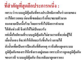 ทีสาคัญทีสุดอีกประการหนึ่ง :
  ่      ่
เพราะว่ าระบบภูมคุ้มกันทีทรงประสิ ทธิภาพในร่ างกายของ
                     ิ           ่
เราได้ ตรวจพบ ก่ อนทีเ่ ซลล์ มะ๶ร็งนีจะขยายตัวมาก
                                       ้
จนกลายเป็ นเนือร้ าย โดยการเข้ าไปจัดการทาลาย
                 ้
ได้ ทนท่ วงที จึงทาให้ ไม่ เป็ นมะ๶ร็ง
       ั
แต่ เมือใดก็ตามทีระบบภูมคุ้มกันไม่ สามารถทีจะต่ อสู้ ได้
         ่         ่           ิ              ่
เมือนั้นเอง ก็จะทาให้ เกิดมะ๶ร็งขึนในร่ างกายได้
   ่                                 ้
ดังนั้นเพือเป็ นการปองกันทีต้นเหตุ เราจึงต้ องดูแลระบบ
           ่             ้         ่
ภูมคุ้มกันของเราให้ แข็งแรงอยู่เสมอ เพราะถ้ าเราดูแลภูมคุ้มกัน
     ิ                                                   ิ
ของเราดี ระบบภูมคุ้มกัน ก็จะกลับมาดูแลเราเอง
                       ิ
 