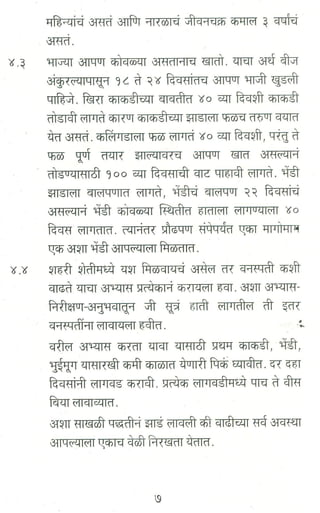 शहरी शेती   दाभोलकर प्रयोग परिवार(1)