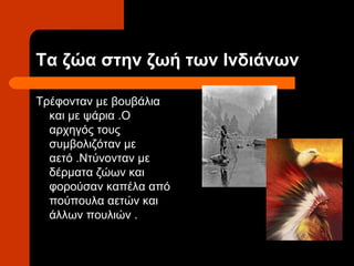 Τα ζώα στην ζωή των Ινδιάνων

Τρέφονταν με βουβάλια
  και με ψάρια .Ο
  αρχηγός τους
  συμβολιζόταν με
  αετό .Ντύνονταν με
  δέρματα ζώων και
  φορούσαν καπέλα από
  πούπουλα αετών και
  άλλων πουλιών .
 