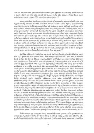 යන මඟ ඔස්ෙසේ එෙසේම ළඟාවන බැවිනි.එය කෙශේරුකා සුෂුම්නාව මධ ය අසල ඇති H-හැඩෙය්
අංශයක අළුපැහැ ෙභෞතික දව ඇත.ෙම් අළු පැහැ ෙභෞතික දව ෛසල ෙද්හෙය් විශාල ෙලස
අන්තර්ගතය.එෙසේම ඒවාෙය් විවිධ අභ න්තර සබඳතාද ඇත.212

        ස්නායු පද්ධතිෙය් මානසික අනුරූපිත හැඩෙය් මූලික ආකෘතිය හඳුනාගැනීෙම්දී ෙමය ඉතා
වැදගත්ය.මන්ද ෙබොෙහෝ විෙශේෂිත ආකෘතික සබඳතා ව ක්ත චර්යා පිළිබඳ අධ යනයන්හිදී
සාකච්ඡාවට ගැෙනන බැවිනි.ස්නායු පද්ධතිෙය් ෙම් හැඩතල අංශභාග ෙරෝගයට හා ස්නායු ෙරෝග
වලට පතිකාර ෙසොයන ස්නායු විද ඥයින්ට අත වශ ය.ස්නායු පද්ධතිය විශාලිතවූ එකක හා උප
ඒකක පමාණයකින් සංවිධානයවී තිෙබ්.එෙසේම ඒවා යළිත් ෙබෙදමින් ඉතාම කුඩා අණුක ඒකක
දක්වා විෙභ්දනය වියහැකි ෙලස සකස්ව තිෙබ්.විශිෂ්ටතා එම පද්ධතිෙය් සෑම උපාංගයකම විෙශේෂ
කාර්යයන් හා මුළු පද්ධතියතුළ විවිධ ෙකොටස් අතර සබඳතා නිශ්චය කර තිෙබ්. කෙශේරුකාව
තුළින් යන සුෂුම්නාව හැර පර්යන්ත ස්නායු තුවාලවීෙමන් පසුවද යළි පකෘතිමත් විය හැකිය.එම
අතක ෙහෝ පාදයක අංශභාගය යළි සුවපත් වියහැක.පර්යන්ත ස්නායු කැපීෙමන් පසුවද යලි එහි
සංෙව්දනා දැනීම යථා තත්වයට පැමිණය හැක. නමුදු කෙශේරුකා සුෂුම්නාෙව් කාර්යය අඩාලවීමක්
ෙහෝ බරපතල තුවාලයක් නිසා හානිවීමක් වැනි තත්වයකදී නම් මීට පතිවිරුද්ධ ලක්ෂණ ඇතිෙව්.
ස්නායු සම්බන්ධතා හා එහි කියාකාරීත්වය තිරිංග පද්ධතිය,ෙරෝද ආදිය සහිත සංකීර්ණ යන්තයක
ඒක සිදු කරන යාන්තික කියාකාරීත්වයට සමානව විගහ කළ හැක.213

        මස්තිෂ්ක අර්ධෙගෝල(මස්තිෂ්කය තුළ එකට එක්ව පවතිනබව දන්නා) මස්තිෂ්කය තුළම
ඉතා වැඩි පමාණයක් සංස්ථාපනය ෙකොට තිෙබ්.ෙමොළෙය් ඉදිරිපස පිහිටි කුඩා ෙකොටස් සහ එහි
සියළු පැතිවල සිට පිටතට විහිෙදන බැලූනය,එමඟින් දෘෂ්ථීපථයට ෙපෙනන හාත්පස පිහිටි සහ
ඉන් ආවරණය වන සියළු ෙදයින් ඉතා වැඩි පමාණයක් ඒවාට අනුයුක්තව ඇත. ෙමොළෙය් ඉදිරි
ෙකොටස තුළවූ ව හයන්හි දක්නට ලැෙබන අනුපිළිෙවළ අනිවාර්යෙයන්ම ෙමොළ මධ ය හරහා
හරස්කඩක් ෙලස දැක්විය හැක.මානව මධ ස්නායු පද්ධතියට අයත් උප අංශ හා ඒවාෙය් කෘත
ෙමහි දැක්ෙව්. කෙශේරුකා සුෂුම්නාෙව් ඉහළ ෙකොටෙසේ මධ ස්නායු පද්ධතිය පිහිටා තිෙබ්.ෙමහි
ඉහළින් ඇත්ෙත් මස්තිෂ්කයයි(Cerebrum).එහි පෘෂ්ඨය මස්තිෂ්ක බාහිකෙයන්(Cerebral Cortex)
නිර්මිත වී ඇත. සංෙව්දනා සංජානනය, ඉච්ඡානුග කියා චලන, ඉෙගනුම, ස්මෘතිය, සිතීම, හැඟීම්,
විඥානය වැනි කියා මින් ෙමෙහයවනු ලැෙබ්.214ෙද්හ කැෙලෝසය(Corpus Callosum) ඊට පහළින්
පිහිටා තිෙබ්.එහි තන්තු මස්තිෂ්ක අර්ධෙගෝල ෙදක සමඟ සම්බන්ධවී පවතී.තැලමස
(Thalamus)ෙමොළය මධ ෙය් පිහිටිෙය්ය.මස්තිෂ්ක බාහිකය ෙතක් වූ සංෙව්ද පතිචාර ස්ථාන මඟ
ෙමයයි.හයිෙපොතැලමස(Hypothalamus) තැලමසට යටින් පිහිටා ඇත.අන්තරංග (සිරුර ඇතුළත
වූ අංග) පාලනය කිරීම,උණුසුම,පරිවෘත්තිය සහ අන්තරාසර්ග බඳු ෙද්හික කෘත සංතුලනය කිරීම
ෙමහි කාර්යයි.පිටියුටරි ගන්ථිය(Pituitary Gland)පිහිටිෙය් ෙමොළ මධ ෙය්ය.ෙමය අන්තරාසර්ග
ගන්ථියකි (Endocrine Gland).කෙශේරුකා සුෂුම්නාවට ඉහළින් විතංසිකා (ජාලාකාර) සකියන
පද්ධතිය (Reticular Activating System) පිහිටිෙය්ය.ෙමය මස්තිෂ්ක බාහිකෙය්වූ පුළුල් පරාසයක
සකියන පෙබෝධමත් කිරීෙම් පද්ධතියයි.හිස පිටුපස අනුමස්තිෂ්කය (Cerebellum)පිහිටිෙය්ය.මාංශ
ෙප්ශි ස්වභාවය,ෙද්හ සමතුලිතබව, ඉච්ඡානුග චලන සමාෙයෝජනය(ඇඟිලි හා මහපටැඟිල්ල බඳු)
ෙමමඟින් පාලනයවන කෘත යන්ය.මජ්ජාව (Medulla)කෙශේරුකා සුෂුම්නාෙව් මැද පිහිටිෙය්ය.එහි
කාර්යයන් නම් කපාල ස්නායු අතරින්,ආශ්වාස පාශ්වාසය, ගිලීම, ආහාර ජීරණය, හෘද ස්පන්දනය
ආදී බහිර්ගත කියාවල බාරදූර පාලනය ෙමෙහයවීමයි.ෙසේතුව (Pons) කෙශේරුකා සුෂුම්නාව උඩ
පිහිටා තිෙබ්.මස්තිෂ්ක අර්ධෙගෝළ සම්බන්ධ කරමින් ෙමහි සිට තන්තු සම්න්ධව ඇත.කෙශේරුකා
සුෂුම්නාෙවන්(Spinal Cord)ස්ථානීය පතීකකියා,චාලක සහ ඉන්දීය ආෙව්ග සන්නයන සිදු ෙව්.215

      මිනිස් ෙමොළය තුළ ස්නායු හා ස්නායු ෙසසල බිලියන දස දහසකට අධික පමාණයක් යම්
ෙකෙනකුෙග් උපෙත්දීම පිහිටා තිෙබ්.එම ස්නායු හා ස්නායු ෛසල උපතට ෙපර වර්ධනය ෙව්.
උපතින් පසුව වර්ධනයවීම නවතී.උපතින් පසුව සෑම දිනක් පාසාම ස්නායු ෛසල දස දහසක් මිය


                                         64
 