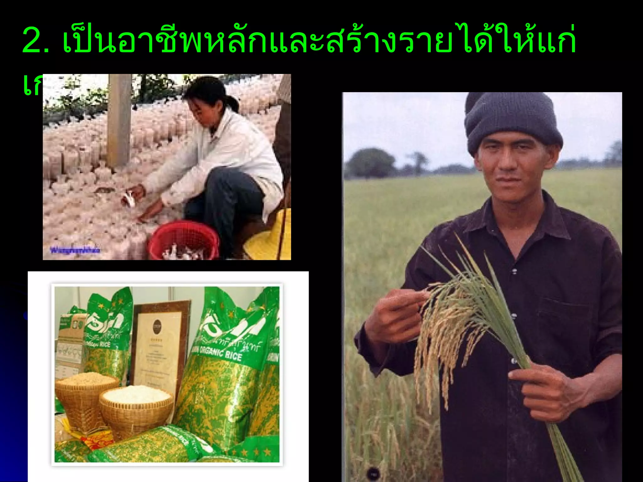 2. เป็นอาชีพหลักและสร้างรายได้ให้แก่
เกษตรกร
 