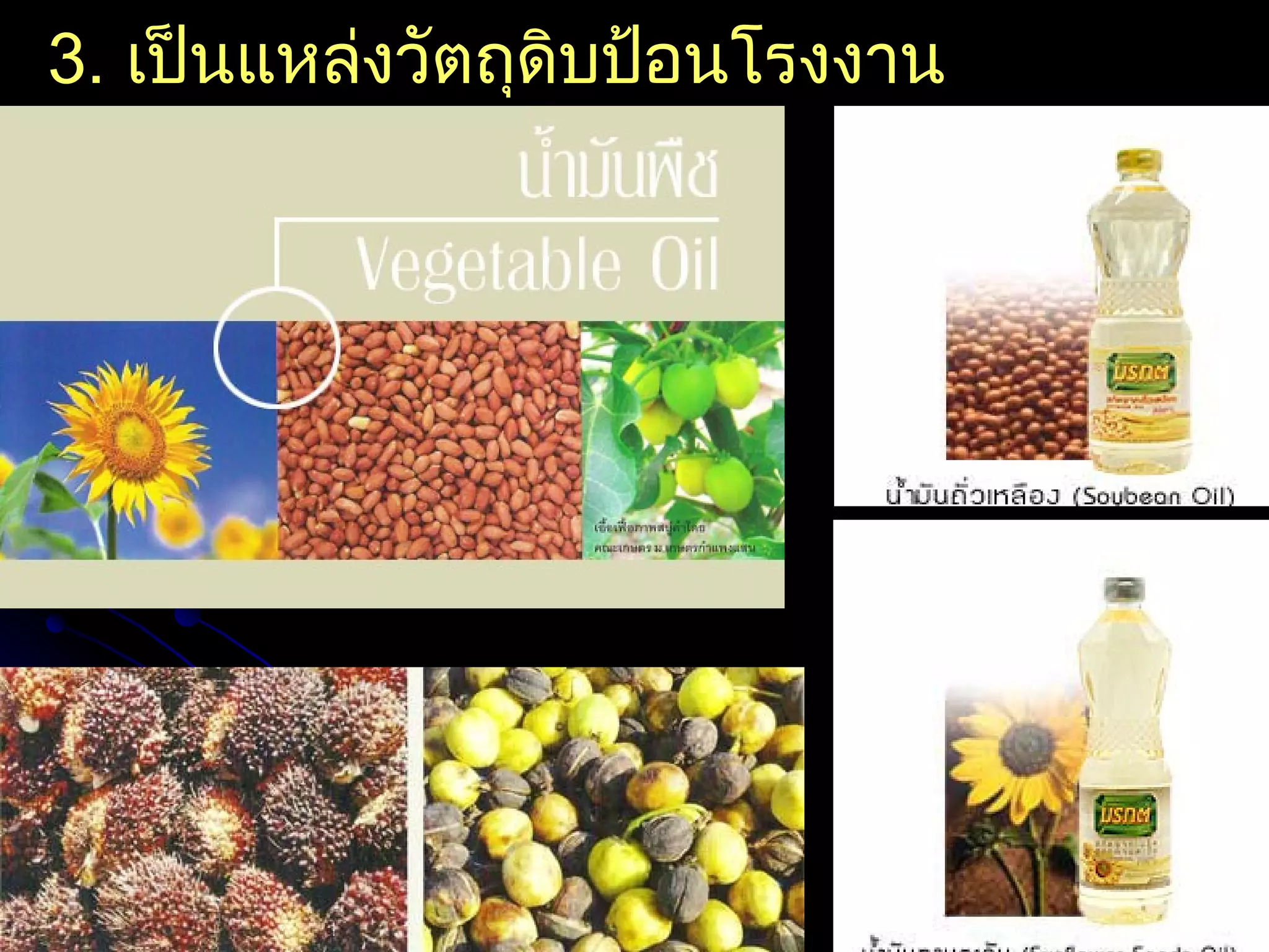 3. เป็นแหล่งวัตถุดิบป้อนโรงงาน
อุตสาหกรรม
 