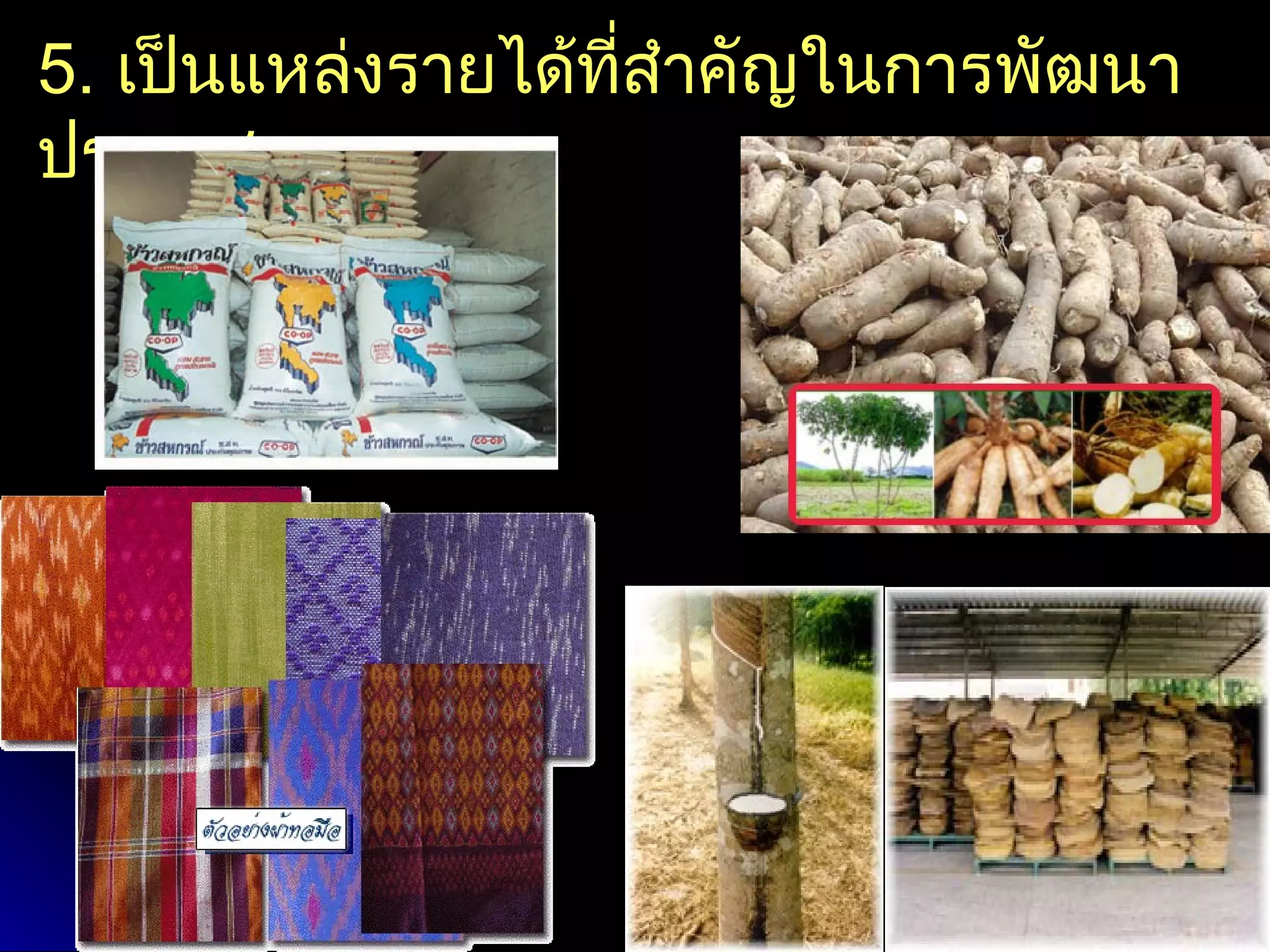 5. เป็นแหล่งรายได้ทสำาคัญในการพัฒนา
                   ี่
ประเทศ
 