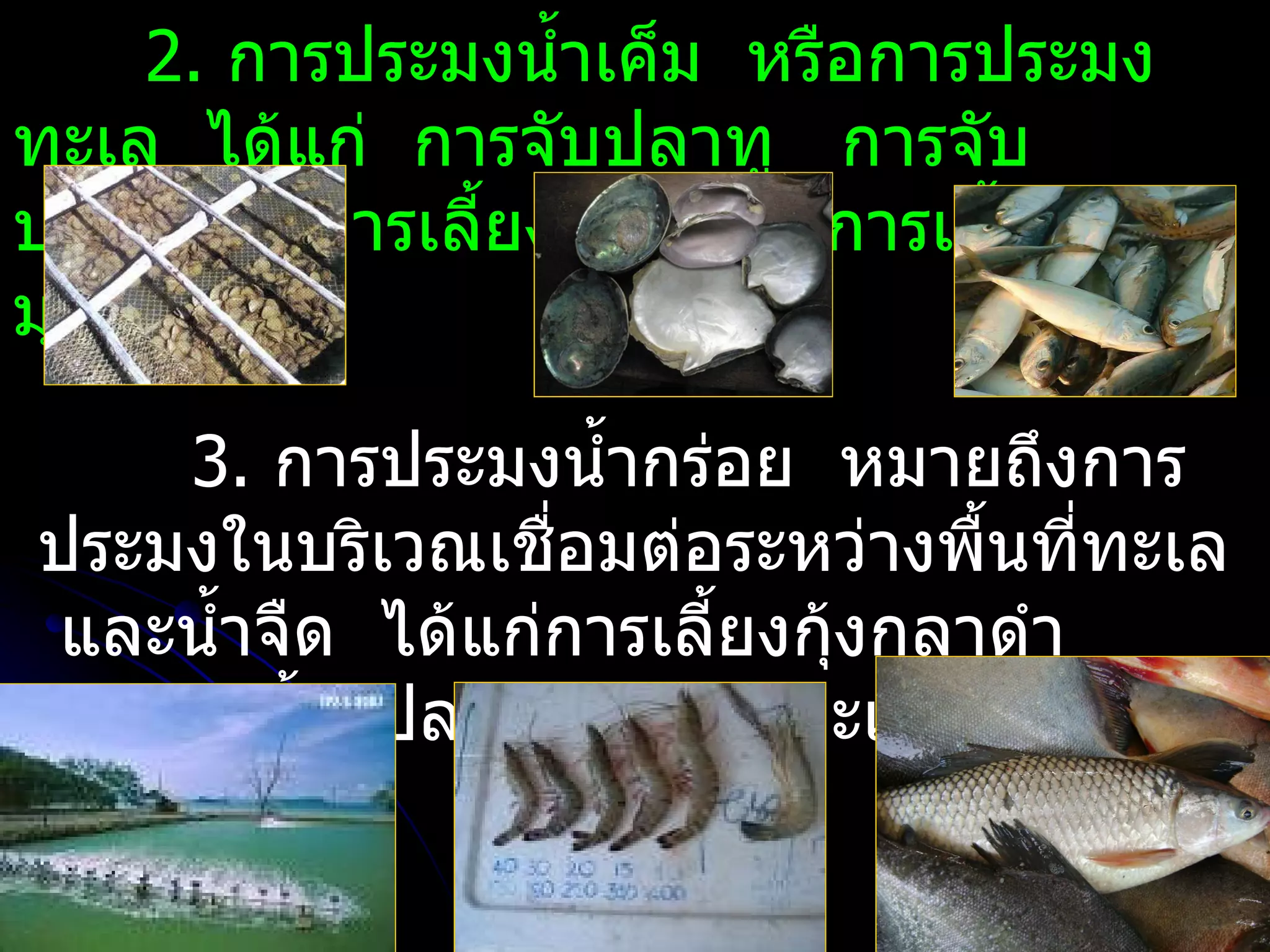 2. การประมงนำ้าเค็ม หรือการประมง
ทะเล ได้แก่ การจับปลาทู การจับ
ปลาหมึก การเลี้ยงปลาเก๋า การเลี้ยงหอย
มุก เป็นต้น

    3. การประมงนำ้ากร่อย หมายถึงการ
ประมงในบริเวณเชื่อมต่อระหว่างพื้นทีทะเล
                                     ่
และนำ้าจืด ได้แก่การเลี้ยงกุงกุลาดำา
                            ้
  การเลี้ยงปลานวลจันทร์ทะเล เป็นต้น
 