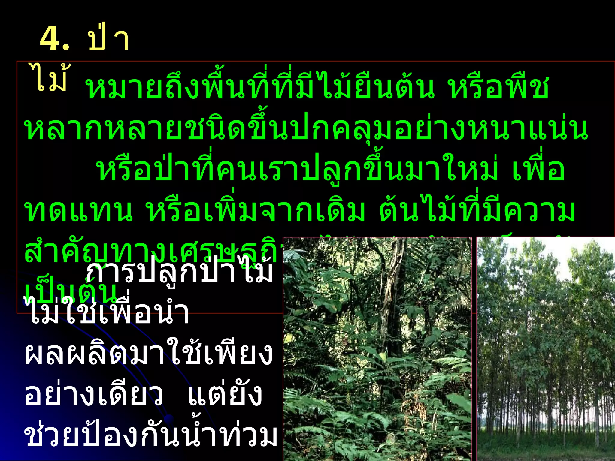 4. ป่ า
ไม้ หมายถึงพื้นที่ทมีไม้ยืนต้น หรือพืช
                    ี่
หลากหลายชนิดขึ้นปกคลุมอย่างหนาแน่น
      หรือป่าทีคนเราปลูกขึ้นมาใหม่ เพื่อ
               ่
ทดแทน หรือเพิ่มจากเดิม ต้นไม้ที่มีความ
สำาคัญทางเศรษฐกิจ ได้แก่ สัก เต็ง รัง
     การปลูกป่าไม้
เป็นต้น
ไม่ใช่เพื่อนำา
ผลผลิตมาใช้เพียง
อย่างเดียว แต่ยัง
ช่วยป้องกันนำ้าท่วม
 