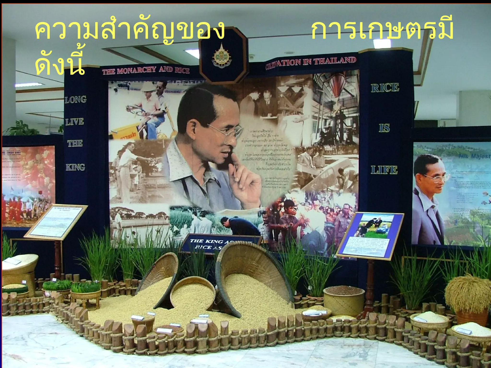 ความสำาคัญของ   การเกษตรมี
ดังนี้
 