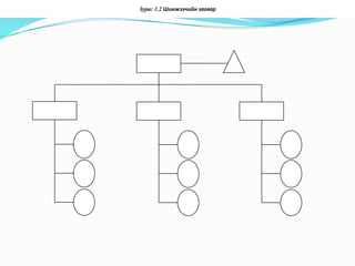 Зураг 1.2 Шинжээчийн загвар
 