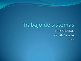 IT ESSENTIAL
• Camila Salgado
           • 11-2
 