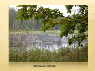 ОРЛОВСКОЕ ПОЛЕСЬЕ
 