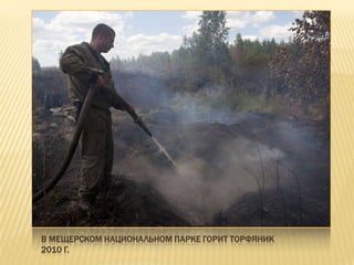В МЕЩЕРСКОМ НАЦИОНАЛЬНОМ ПАРКЕ ГОРИТ ТОРФЯНИК
2010 Г.
 