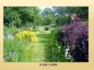 В САДУ У ДОМА
 