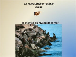 Le rechauffement global
excite
la montée du niveau de la mer