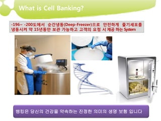 What is Cell Banking?

-196~ -200도에서 순간냉동(Deep-Freezer)으로 안전하게 줄기세포를
냉동시켜 약 15년동안 보관 가능하고 고객의 요청 시 제공 하는 System




 뱅킹은 당신의 건강을 약속하는 진정한 의미의 생명 보험 입니다
 