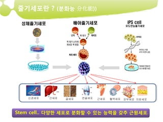 줄기세포란 ? (분화능 分化能))

 성체줄기세포            배아줄기세포                   iPS cell
                                           유도만능줄기세포




    신경세포   간세포   골세포   연골세포   근세포   혈액세포   피부세포 지방세포




Stem cell.. 다양한 세포로 분화할 수 있는 능력을 갖추 근원세포.
 