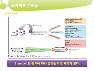 줄기세포 분화능

STEM CELL




       Stem cell의 종류에 따라 분화능력에 차이가 있다.
 