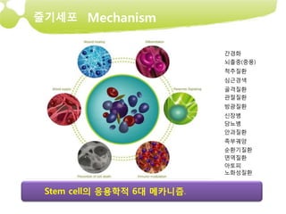 줄기세포 Mechanism


                            간경화
                            뇌졸중(중풍)
                            척추질환
                            심근경색
                            골격질환
                            관절질환
                            방광질환
                            신장병
                            당뇨병
                            안과질환
                            족부궤양
                            순환기질환
                            면역질환
                            아토피
                            노화성질환


 Stem cell의 응용학적 6대 메카니즘.
 
