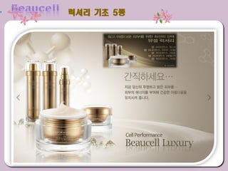 럭셔리 기초 5종
 
