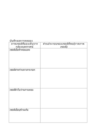 บัน ทึก ผลการทดลอง
 ภาพเซลล์ท ี่ม องเห็น จาก   ส่ว นประกอบของเซลล์ท ี่พ บ (วาดภาพ
      กล้อ งจุล ทรรศน์                   เซลล์)
เซลล์เยื่อหัวหอมแดง




เซลล์สาหร่ายหางกระรอก




เซลล์ผิวใบว่านกาบหอย




เซลล์เยื่อบุข้างแก้ม
 