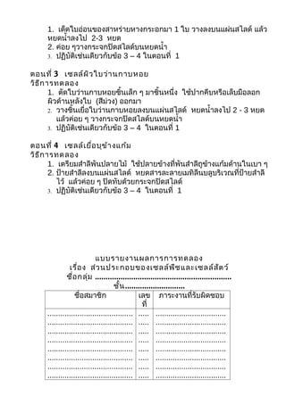 1. เด็ดใบอ่อนของสาหร่ายหางกระอกมา 1 ใบ วางลงบนแผ่นสไลด์ แล้ว
     หยดนำ้าลงไป 2-3 หยด
     2. ค่อย ๆวางกระจกปิดสไลด์บนหยดนำ้า
     3. ปฏิบัติเช่นเดียวกับข้อ 3 – 4 ในตอนที่ 1


ตอนที่ 3 เซลล์ผ ิว ใบว่า นกาบหอย
วิธ ีก ารทดลอง
        1. ตัดใบว่านกาบหอยชิ้นเล็ก ๆ มาชิ้นหนึ่ง ใช้ปากคีบหรือเล็บมือลอก
        ผิวด้านหลังใบ (สีม่วง) ออกมา
        2. วางชิ้นเยื่อใบว่านกาบหอยลงบนแผ่นสไลด์ หยดนำ้าลงไป 2 - 3 หยด
           แล้วค่อย ๆ วางกระจกปิดสไลด์บนหยดนำ้า
        3. ปฏิบัติเช่นเดียวกับข้อ 3 – 4 ในตอนที่ 1


ตอนที่ 4 เซลล์เ ยื่อ บุข ้า งแก้ม
วิธ ีก ารทดลอง
        1. เตรียมสำาลีพันปลายไม้ ใช้ปลายข้างที่พันสำาลีถูข้างแก้มด้านในเบา ๆ
        2. ป้ายสำาลีลงบนแผ่นสไลด์ หยดสารละลายเมทิลีนบลูบริเวณที่ป้ายสำาลี
           ไว้ แล้วค่อย ๆ ปิดทับด้วยกระจกปิดสไลด์
        3. ปฏิบัติเช่นเดียวกับข้อ 3 – 4 ในตอนที่ 1




                           แบบรายงานผลการการทดลอง
               เรื่อ ง ส่ว นประกอบของเซลล์พ ืช และเซลล์ส ัต ว์
              ชื่อ กลุ่ม ................................................................
                                    ชั้น ............................
                  ชื่อสมาชิก                   เลข ภาระงานที่รับผิดชอบ
                                                 ที่
     ........................................ ..... .................................
     ........................................ ..... .................................
     ........................................ ..... .................................
     ........................................ ..... .................................
     ........................................ ..... .................................
     ........................................ ..... .................................
     ........................................ ..... .................................
     ........................................ ..... .................................
 