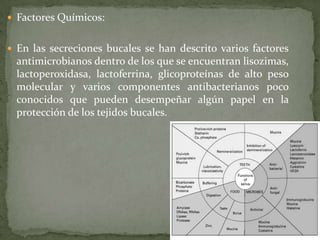  Factores Químicos:


 En las secreciones bucales se han descrito varios factores
  antimicrobianos dentro de los que se encuentran lisozimas,
  lactoperoxidasa, lactoferrina, glicoproteínas de alto peso
  molecular y varios componentes antibacterianos poco
  conocidos que pueden desempeñar algún papel en la
  protección de los tejidos bucales.
 