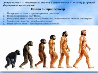 Антропогенез — походження людини і становлення її як виду у процесі
формування суспільства.
                          Етапи антропогенезу
1.   Попередник людини – протоантроп (австралопітек).
2.   Перші представники роду Homo.
3.   Найдавніші люди – архантропи (пітекантроп, гейдельберзька людина, синантроп).
4.   Давні люди – палеоантропи (неандертальці).
5.   Перші сучасні люди – неоантропи (кроманьйонці).
 
