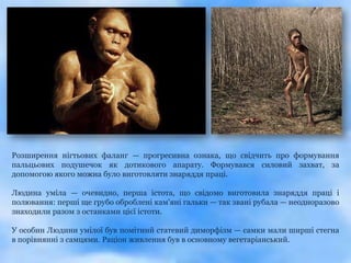 Розширення нігтьових фаланг — прогресивна ознака, що свідчить про формування
пальцьових подушечок як дотикового апарату. Формувався силовий захват, за
допомогою якого можна було виготовляти знаряддя праці.

Людина уміла — очевидно, перша істота, що свідомо виготовила знаряддя праці і
полювання: перші ще грубо оброблені кам'яні гальки — так звані рубала — неодноразово
знаходили разом з останками цієї істоти.

У особин Людини умілої був помітний статевий диморфізм — самки мали ширші стегна
в порівнянні з самцями. Раціон живлення був в основному вегетаріанський.
 