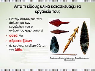 ► Σαν κυνηγός ποια θηράματα κυνηγά; 
 Τα θηράματα 
ποικίλλουν ανάλογα με 
την περιοχή. 
 Στην ανατολική 
Ευρώπη κυριαρχεί το 
μαμούθ. 
 Στη δυτική Ευρώπη ο 
τάρανδος, ο 
αίγαγρος και η 
αντιλόπη. 
 Στη Μεσογειακή 
Ευρώπη τα βόδια, τα 
ελάφια και οι 
αποτελούν μαζί ίπποι 
με τους καρπούς, 
την κύρια τροφή του 
ανθρώπου. 
 