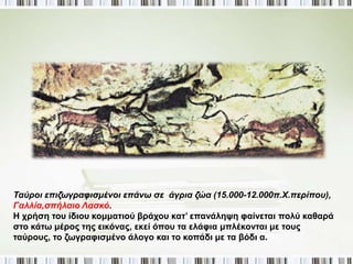 ► Τι είναι οι σπηλαιογραφίες; 
• Σε πολλές ευρωπαϊκές παλαιολιθικές θέσεις έχουν βρεθεί 
σπηλαιογραφίες, δηλαδή εικόνες ζώων και σπανίως 
ανθρώπων ζωγραφισμένες με: 
- Χρώματα 
- ή χαραγμένες στα τοιχώματα των σπηλαίων. 
 