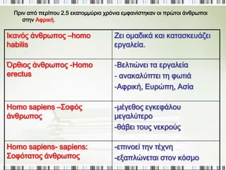► Οστά του 
Αυστραλοπίθηκου 
«Λούση». Η πιο διάσημη 
πρόγονος του ανθρώπου 
βρέθηκε στην Αιθιοπία 
το 1974 και ονομάστηκε 
«Λούση». Τα οστά που 
βρέθηκαν (40% του 
σκελετού της) δείχνουν 
ότι ήταν μια νέα γυναίκα 
με ύψος περίπου 1,10 μ. 
 