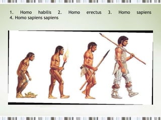 Α. Η πρώτη εμφάνιση του ανθρώπου στη γη 
▲ Χειροπέλεκυς, το πρώτο εργαλείο του ανθρώπου. 
 