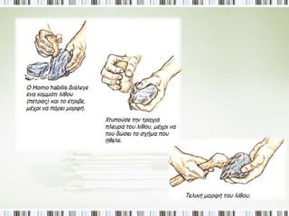 Πριν από περίπου 2.5 εκατομμύρια χρόνια εμφανίστηκαν οι πρώτοι 
άνθρωποι στην Αφρική. 
Ικανός άνθρωπος –homo 
habilis 
Ζει ομαδικά και 
κατασκευάζει εργαλεία. 
Όρθιος άνθρωπος -Homo 
erectus 
-Βελτιώνει τα εργαλεία 
- ανακαλύπτει τη φωτιά 
-Αφρική, Ευρώπη, Ασία 
Homo sapiens –Σοφός 
άνθρωπος 
-μέγεθος εγκεφάλου 
μεγαλύτερο 
-θάβει τους νεκρούς 
Homo sapiens- sapiens: 
Σοφότατος άνθρωπος 
-επινοεί την τέχνη 
-εξαπλώνεται στον κόσμο 
 