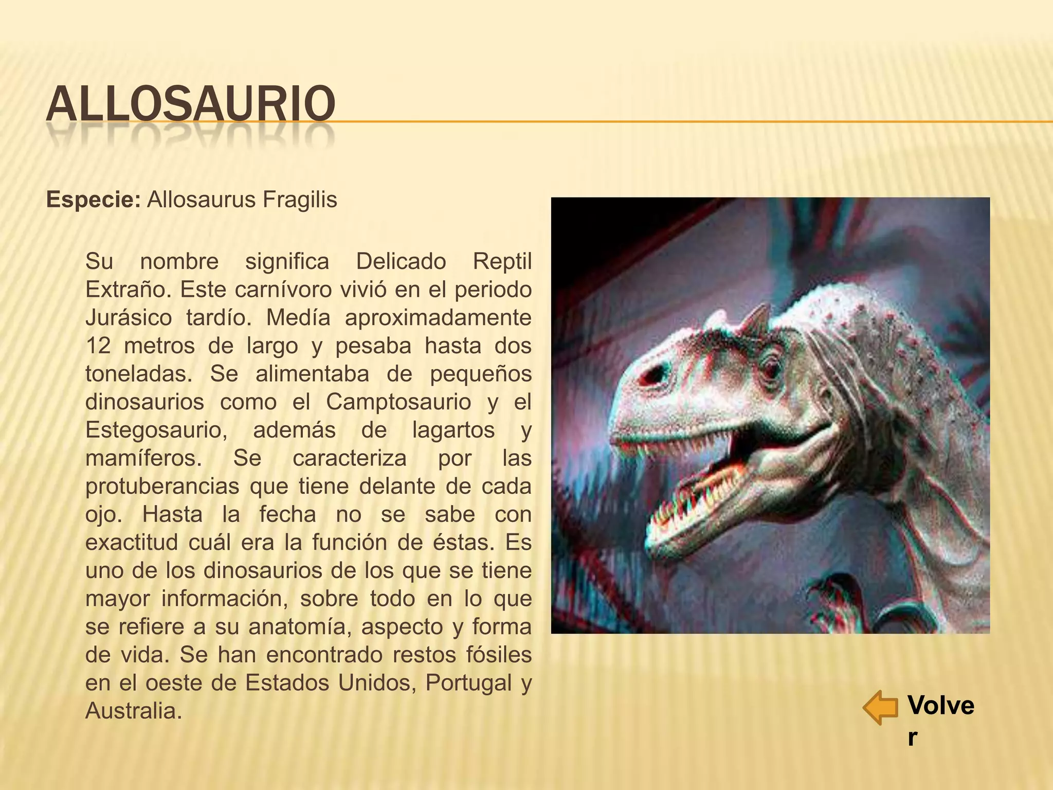 ALLOSAURIO
Especie: Allosaurus Fragilis
Su nombre significa Delicado Reptil
Extraño. Este carnívoro vivió en el periodo
Jurásico tardío. Medía aproximadamente
12 metros de largo y pesaba hasta dos
toneladas. Se alimentaba de pequeños
dinosaurios como el Camptosaurio y el
Estegosaurio, además de lagartos y
mamíferos. Se caracteriza por las
protuberancias que tiene delante de cada
ojo. Hasta la fecha no se sabe con
exactitud cuál era la función de éstas. Es
uno de los dinosaurios de los que se tiene
mayor información, sobre todo en lo que
se refiere a su anatomía, aspecto y forma
de vida. Se han encontrado restos fósiles
en el oeste de Estados Unidos, Portugal y
Australia. Volve
r