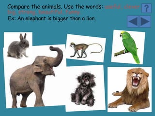 Compare the animals. Use the words: useful, clever,
big, strong, beautiful, funny.
Ex: An elephant is bigger than a lion.
 