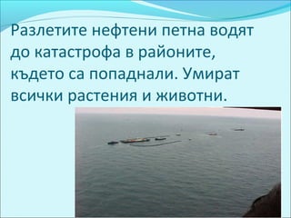 Разлетите нефтени петна водят
до катастрофа в районите,
където са попаднали. Умират
всички растения и животни.
 