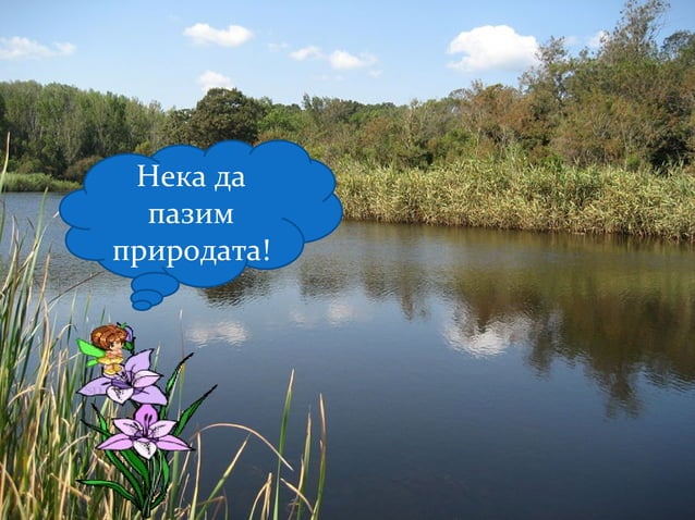 Замърсяване на водата и въздуха и опазване на1