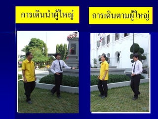 การเดินนาผู้ใหญ่   การเดินตามผู้ใหญ่
 