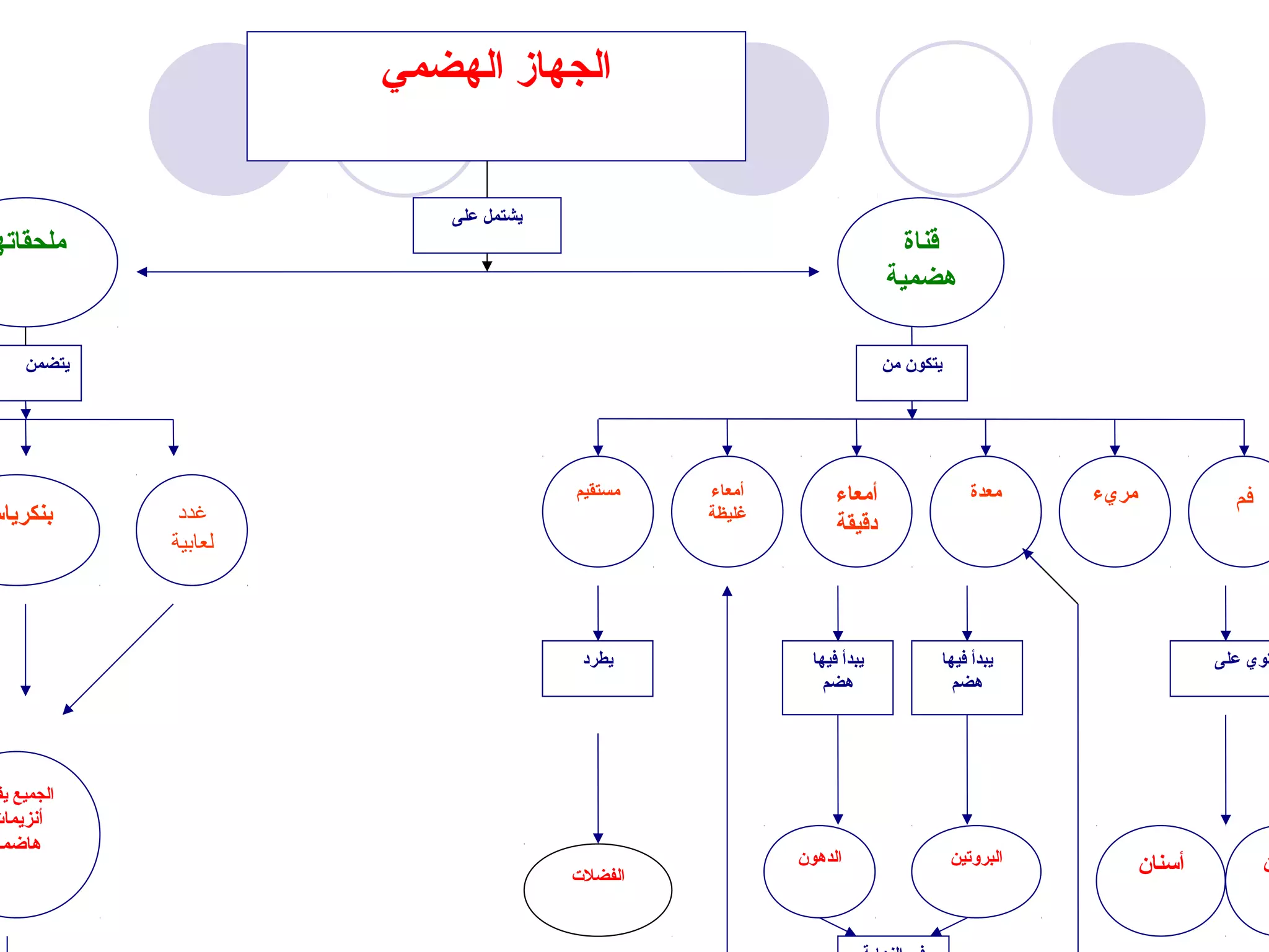 ‫الجهاز الهضمي‬


                          ‫يشتمل على‬
 ‫ملحقاته‬                                                               ‫قناة‬
                                                                     ‫هضمية‬

     ‫يتضمن‬                                                           ‫يتكون من‬




                                      ‫مستقيم‬   ‫أمعاء‬         ‫أمعاء‬                 ‫معدة‬    ‫مريء‬             ‫فم‬
‫بنكرياس‬       ‫غدد‬                              ‫غليظة‬
                                                             ‫دقيقة‬
             ‫لعابية‬



                                       ‫يطرد‬              ‫يبدأ فيها‬          ‫يبدأ فيها‬                     ‫توي على‬
                                                           ‫هضم‬                ‫هضم‬




 ‫الجميع يف‬
‫أنزيمات‬
‫هاضمة‬
                                                       ‫الدهون‬                   ‫البروتين‬          ‫أسنان‬          ‫ن‬
                                      ‫الفضلت‬
 