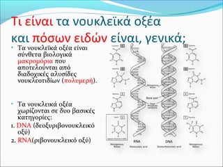 Τι είναι τα νουκλεϊκά οξέα
και πόσων ειδών είναι, γενικά;
• Τα νουκλεϊκά οξέα είναι
  σύνθετα βιολογικά
  μακρομόρια που
  αποτελούνται από
  διαδοχικές αλυσίδες
  νουκλεοτιδίων (πολυμερή).


• Τα νουκλεικά οξέα
   χωρίζονται σε δυο βασικές
   κατηγορίες:
1. DNA (δεοξυριβονουκλεικό
   οξύ)
2. RNA(ριβονουκλεικό οξύ)
 