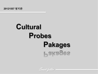 20121557 방지은




       Cultural
           Probes
                Pakages
 