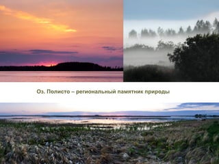 Оз. Полисто – региональный памятник природы
 