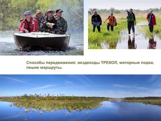 Способы передвижения: вездеходы ТРЕКОЛ, моторные лодки,
              пешие маршруты.




www.polistovsky.ru
 