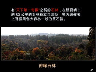 有“天下第一奇觀”之稱的石林，在距昆明市
約 80 公里的石林彝族自治縣，境內遍佈著
上百個黑色大森林一般的巨石群。




        俯瞰石林
                        48
 