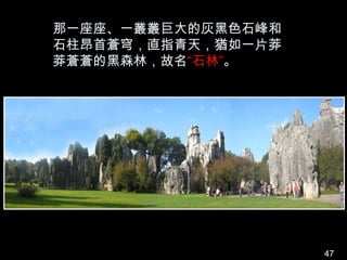 那一座座、一叢叢巨大的灰黑色石峰和
石柱昂首蒼穹，直指青天，猶如一片莽
莽蒼蒼的黑森林，故名“石林”。




                    47
 
