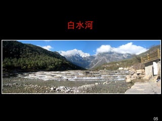 白水河




      05
 