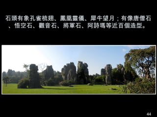 石頭有象孔雀梳翅、鳳凰靈儀、犀牛望月；有像唐僧石
 、悟空石、觀音石、將軍石、阿詩瑪等近百個造型。




                       44
 