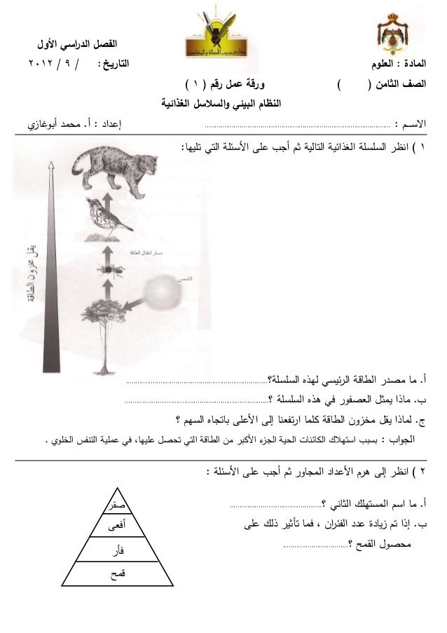 شرح درس كيف تحصل المخلوقات الحية على الطاقة الأحياء علمي الثالث الثانوي العلمي والأدبي نفهم