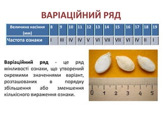 ВАРІАЦІЙНИЙ РЯД
  Величина насіння   8   9   10 11 12 13 14   15   16 17 18 19
       (мм)
 Частота ознаки      I   III IV IV V   VI VII VII VI IV II   I



Варіаційний ряд - це ряд
мінливості ознаки, що утворений
окремими значеннями варіант,
розташованих       в     порядку
збільшення     або    зменшення
кількісного вираження ознаки.
 