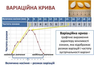 ВАРІАЦІЙНА КРИВА
Величина насіння (мм) 8      9 10    11   12 13      14   15   16   17   18 19
                  середнє значення
Частота ознаки         1    3    4   4    5     6     7    7   6    4    2   1
  Частота ознаки




                                                     Варіаційна крива -
                                                      графічне вираження
                                                      характеру мінливості
                                                     ознаки, яка відображає
                                                    розмах варіацій і частоту
                                                     зустрічальності варіант
 найменше значення         найбільше значення


   Величина насіння – розмах варіацій
 