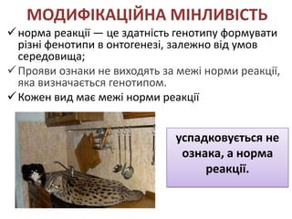 МОДИФІКАЦІЙНА МІНЛИВІСТЬ
 норма реакції — це здатність генотипу формувати
  різні фенотипи в онтогенезі, залежно від умов
  середовища;
 Прояви ознаки не виходять за межі норми реакції,
  яка визначається генотипом.
 Кожен вид має межі норми реакції


                              успадковується не
                               ознака, а норма
                                   реакції.
 